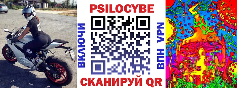 Псилоцибиновые грибы Psilocybine cubensis Альметьевск