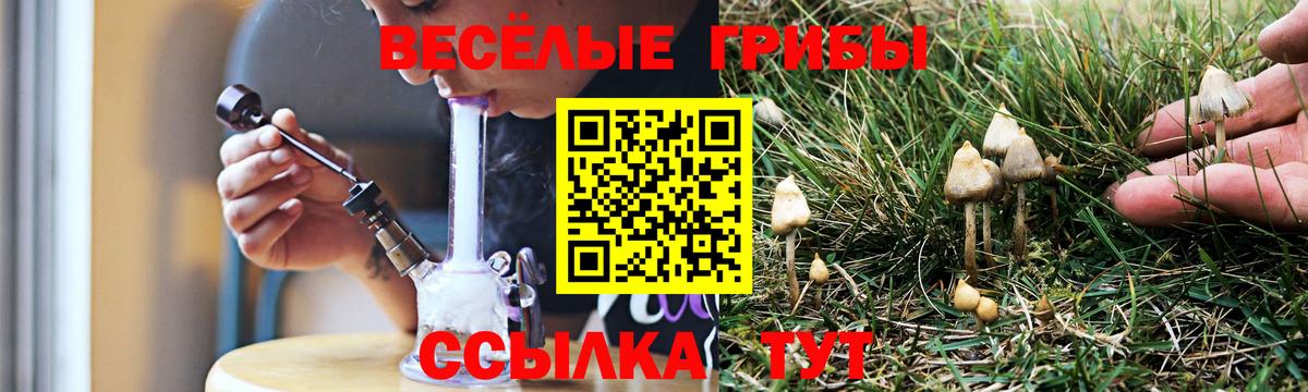 Альметьевск  наркота  Вход с VPN  Галлюциногенные грибы прущие грибы 