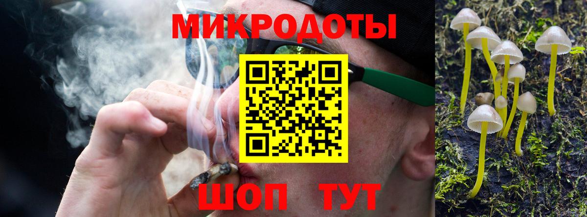 Псилоцибиновые грибы Cubensis Альметьевск