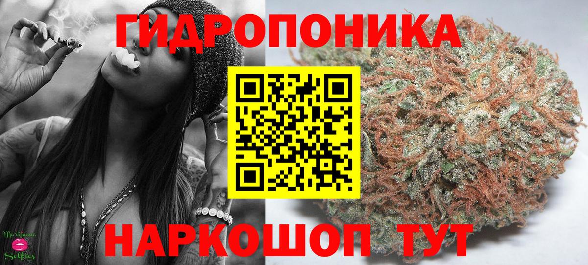 Бошки Шишки гибрид  Альметьевск  Канабис ГИДРОПОН  Марихуана индика  Конопля план 